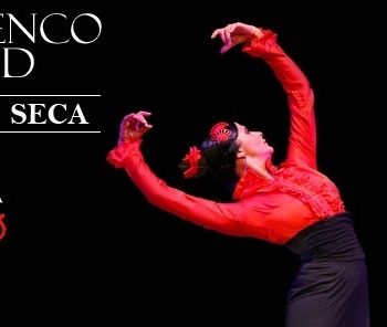 España Baila Flamenco, espectáculo de baile del Ballet Flamenco de Madrid